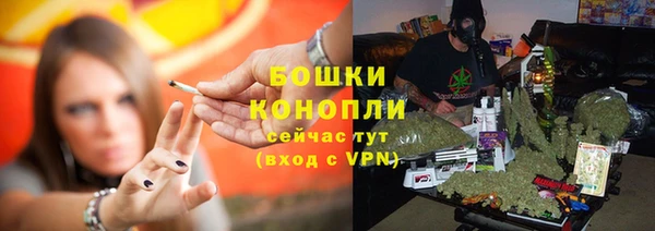 мяу мяу кристалл Богданович