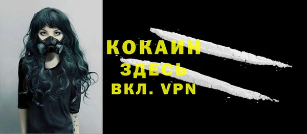 метадон Новодвинск