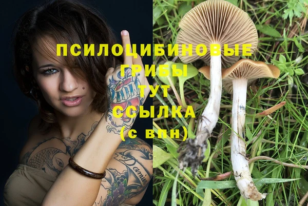 ECSTASY Нефтегорск