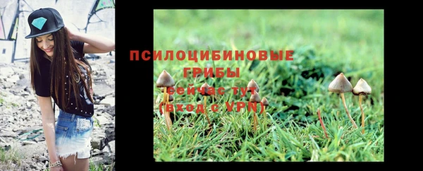 альфа пвп Нея