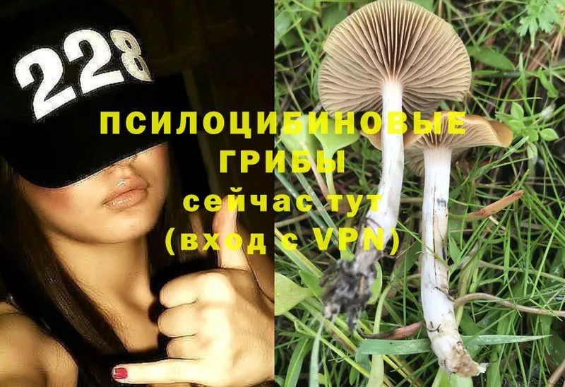 ОМГ ОМГ ССЫЛКА  Уяр  Псилоцибиновые грибы MAGIC MUSHROOMS 